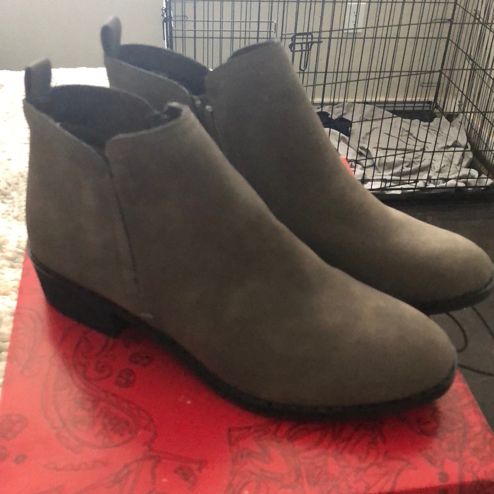 American Rag booties